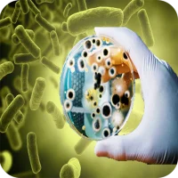 Bacteria - Infections and Type